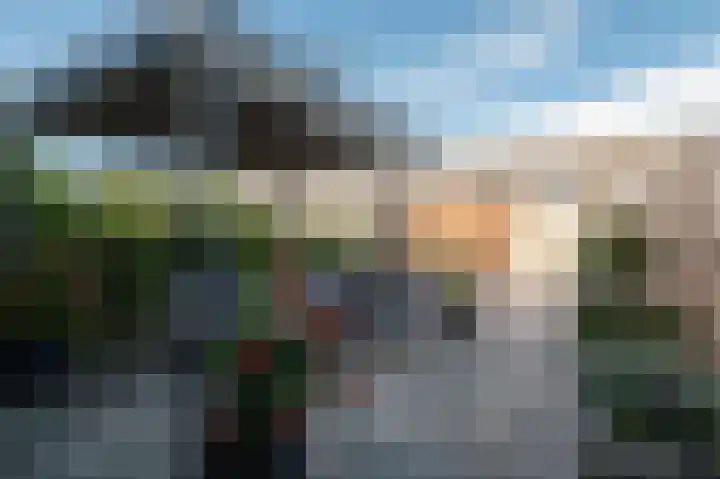 Ruisvoorn 162 Tiel thumbnail 14