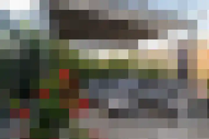 Ruisvoorn 162 Tiel thumbnail 15