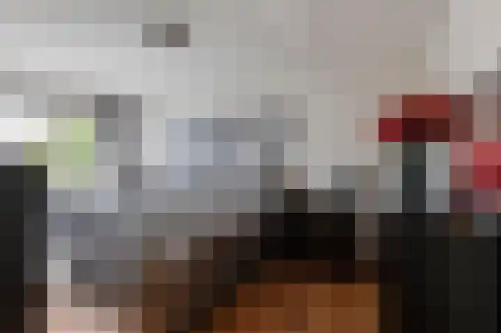 Ruisvoorn 162 Tiel thumbnail 18