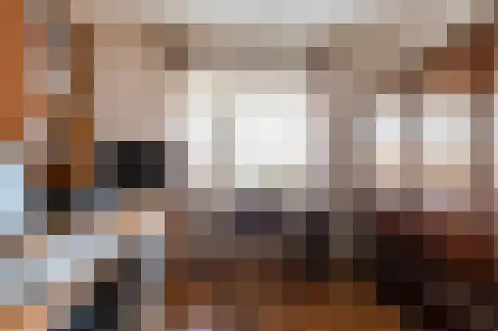 Ruisvoorn 162 Tiel thumbnail 24