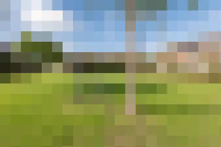 Ruisvoorn 162 Tiel thumbnail 28