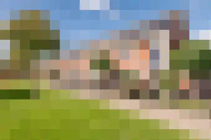 Ruisvoorn 162 Tiel thumbnail 29