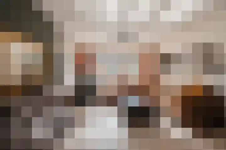 Ruisvoorn 162 Tiel thumbnail 6
