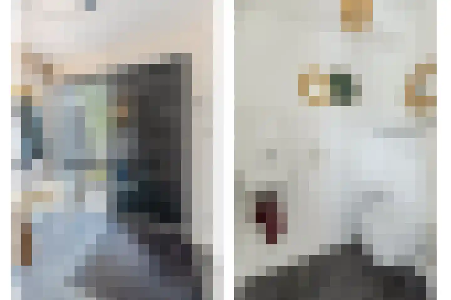 Ruisvoorn 17 Krommenie thumbnail 10