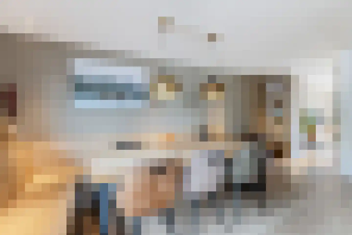 Ruisvoorn 17 Krommenie foto 2