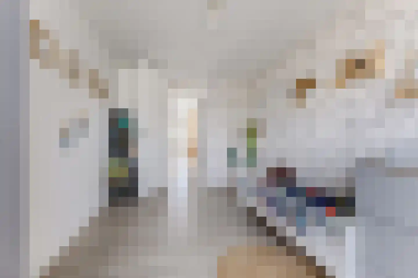 Ruisvoorn 17 Krommenie thumbnail 24