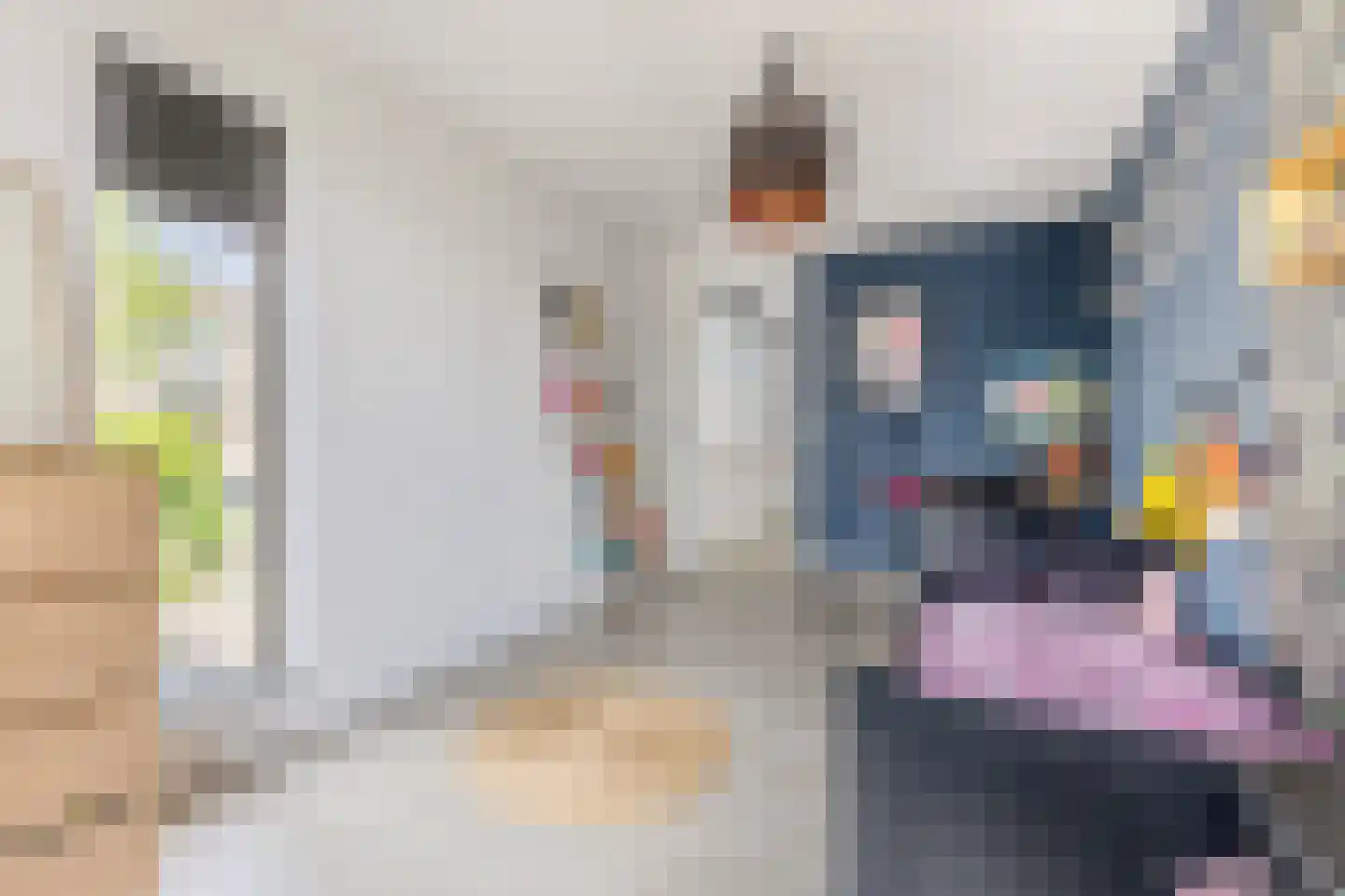 Ruisvoorn 17 Krommenie thumbnail 27