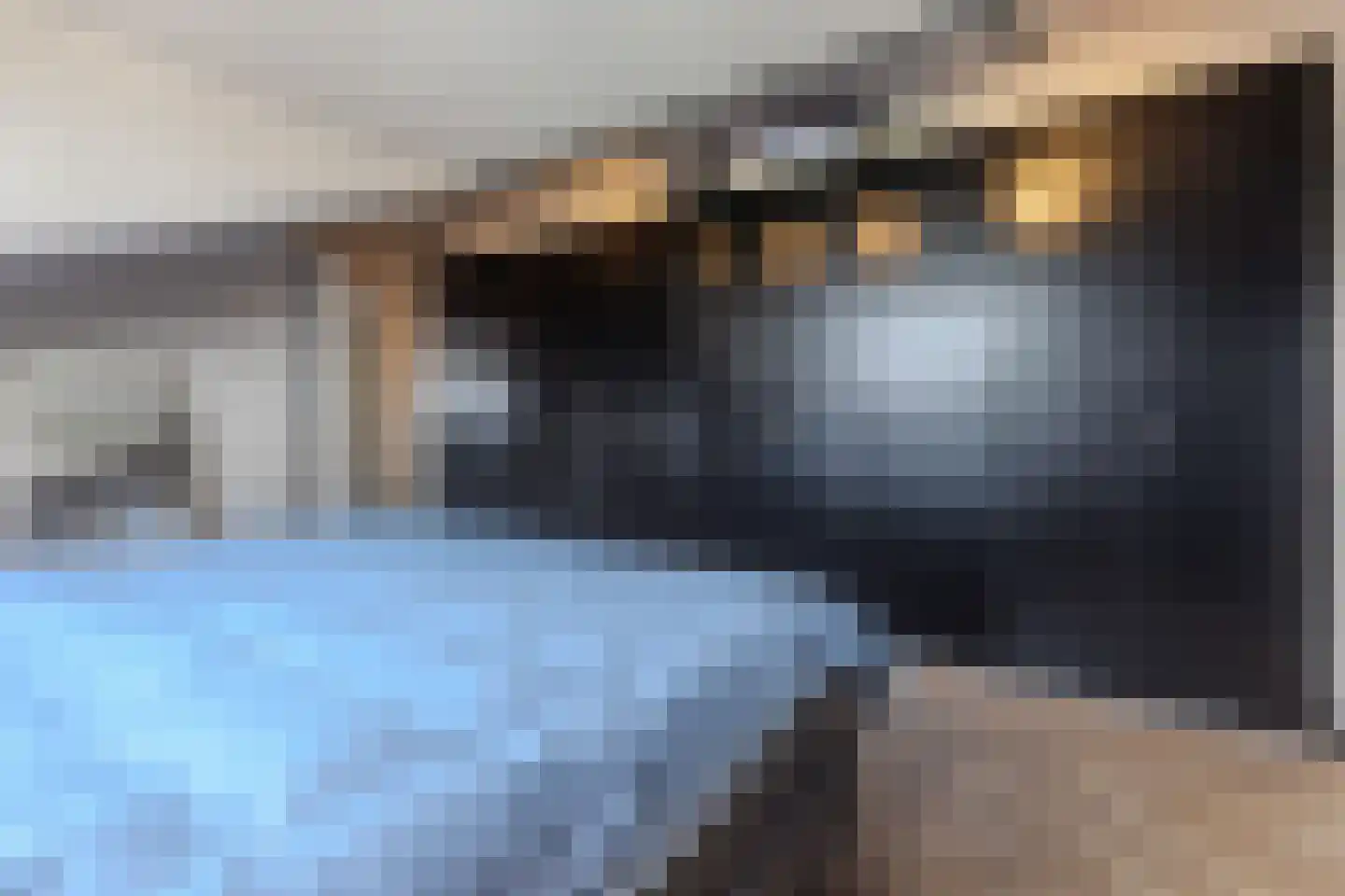 Ruisvoorn 17 Krommenie thumbnail 33
