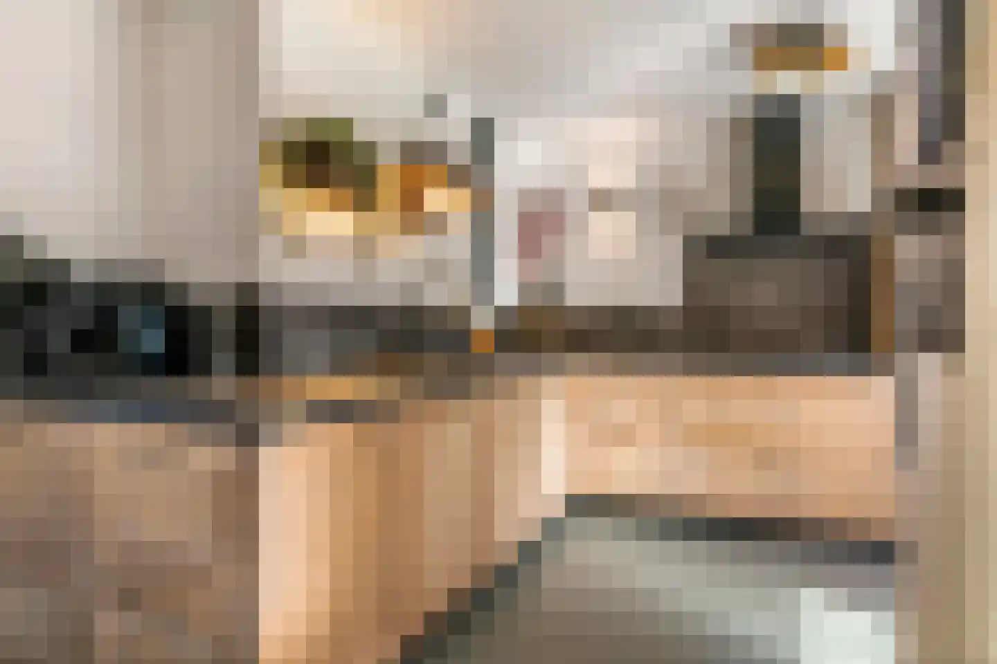 Ruisvoorn 18 Tiel thumbnail 17