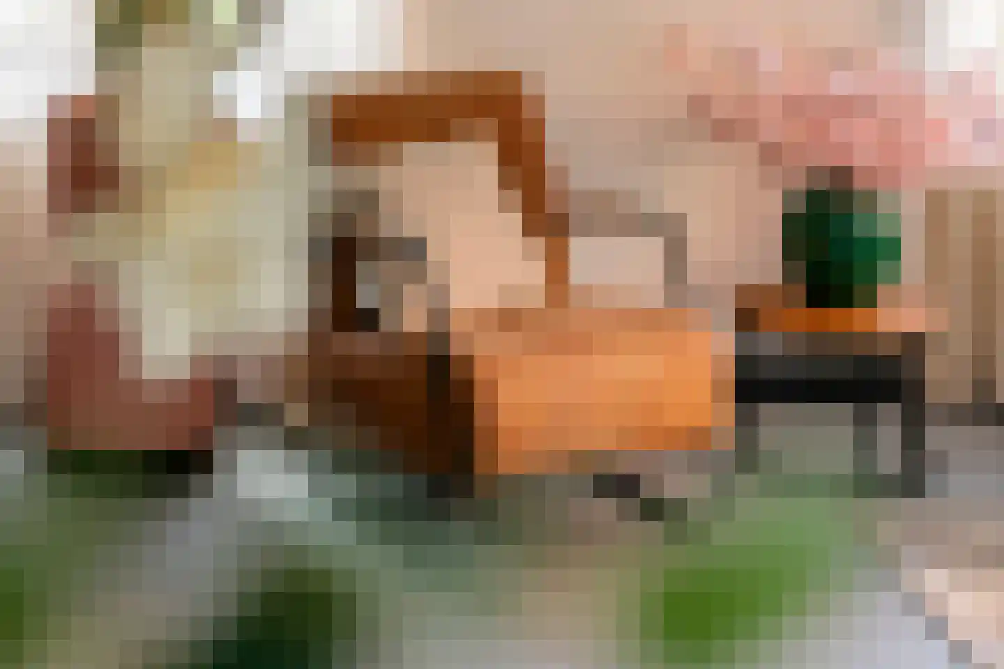 Ruisvoorn 18 Tiel thumbnail 20