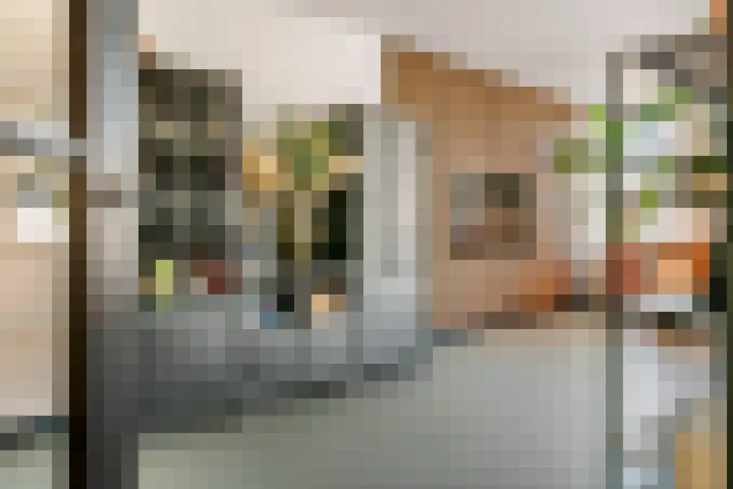 Ruisvoorn 18 Tiel thumbnail 22