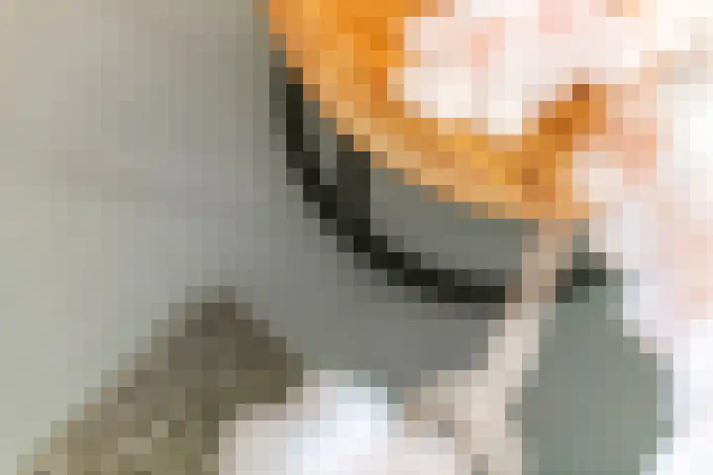 Ruisvoorn 18 Tiel thumbnail 25