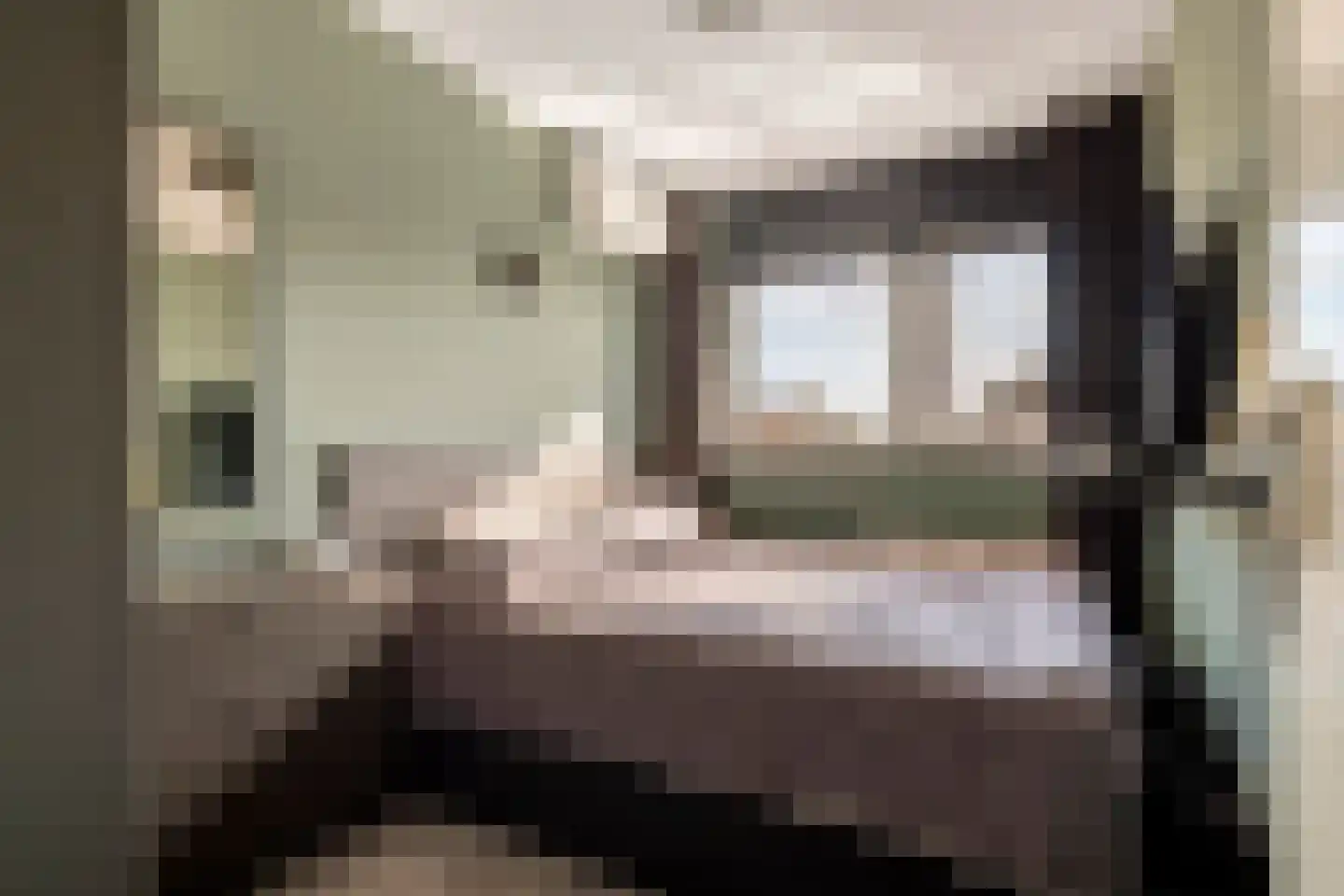 Ruisvoorn 18 Tiel thumbnail 29