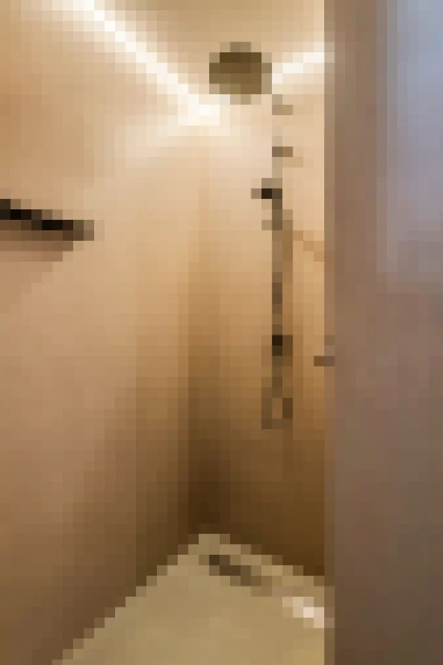 Ruisvoorn 18 Tiel thumbnail 30