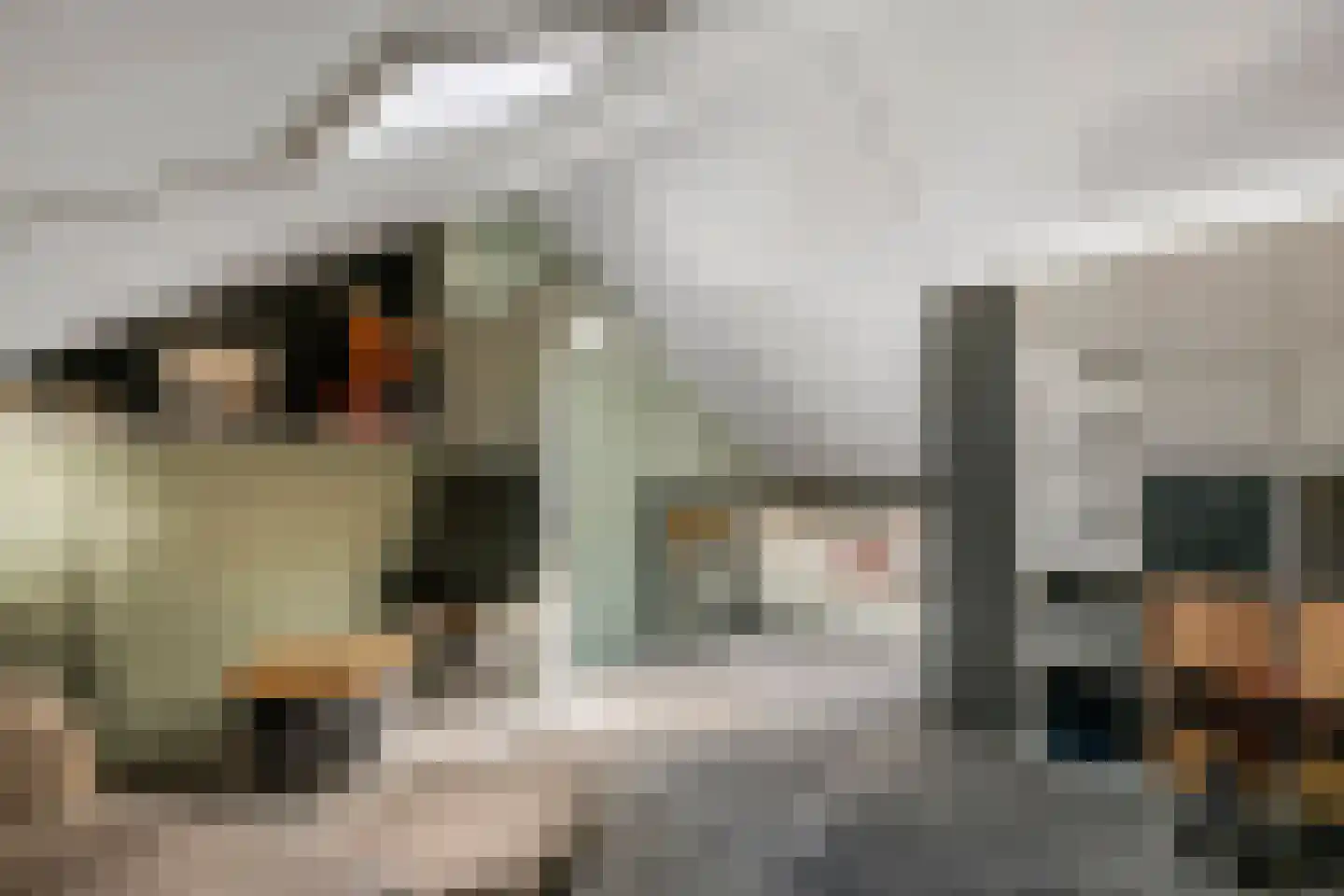 Ruisvoorn 18 Tiel thumbnail 36