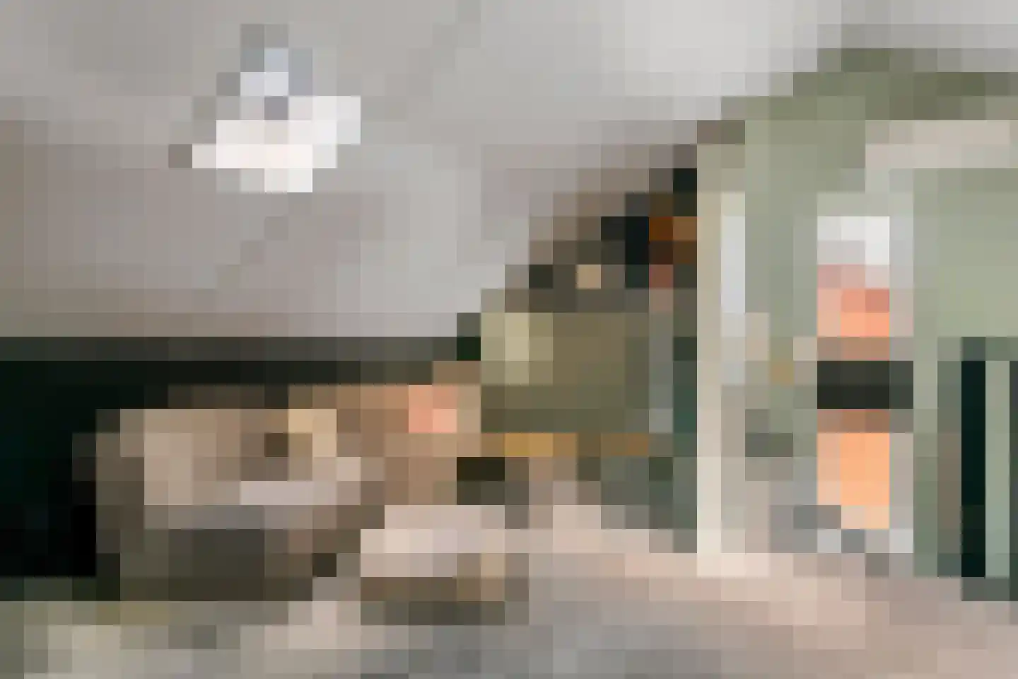Ruisvoorn 18 Tiel thumbnail 38