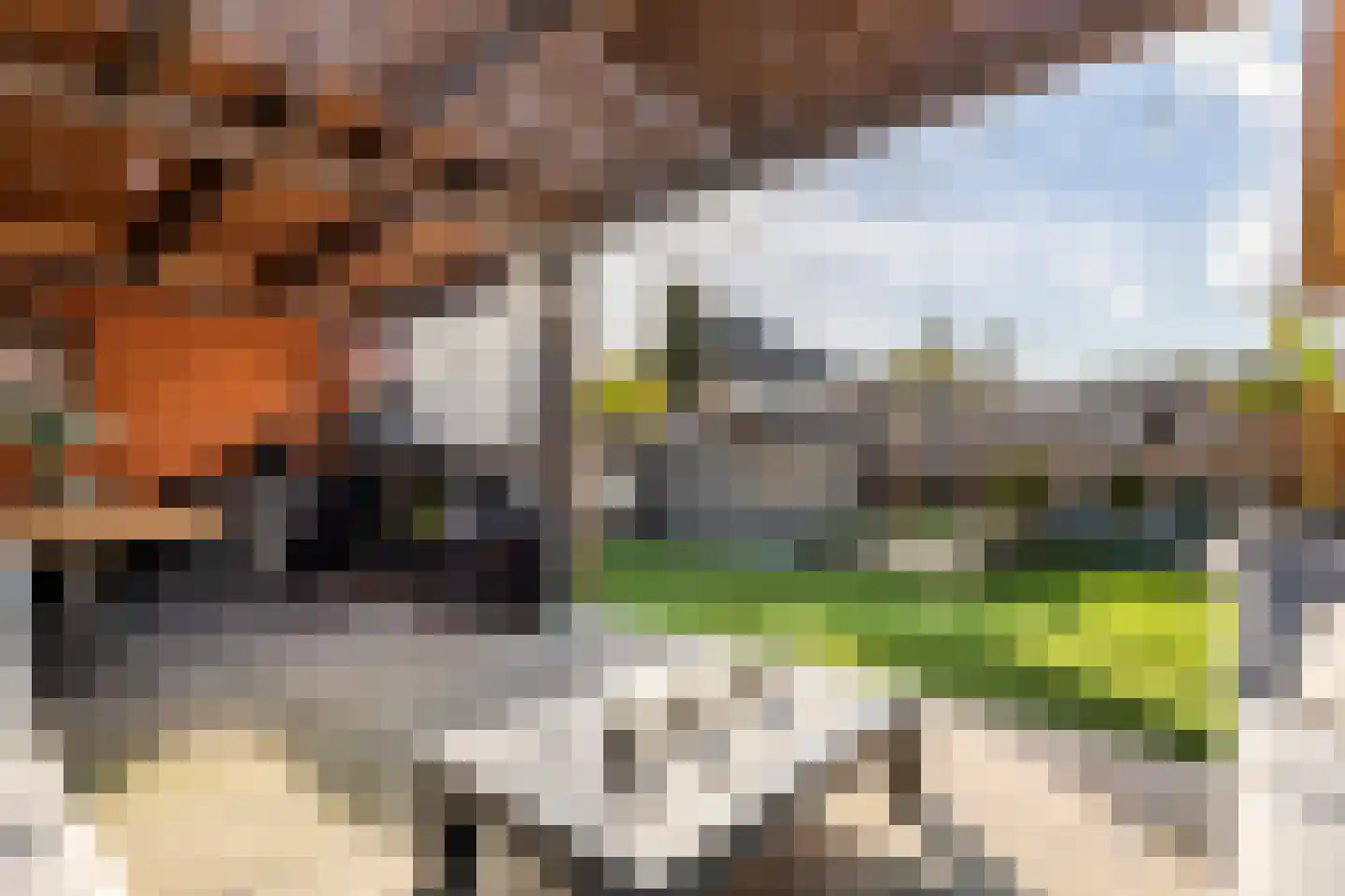 Ruisvoorn 18 Tiel thumbnail 42