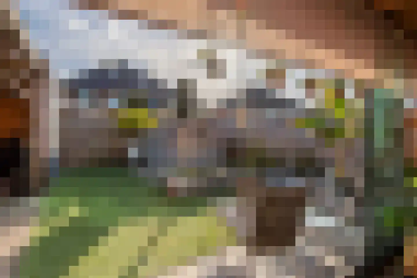 Ruisvoorn 18 Tiel thumbnail 43