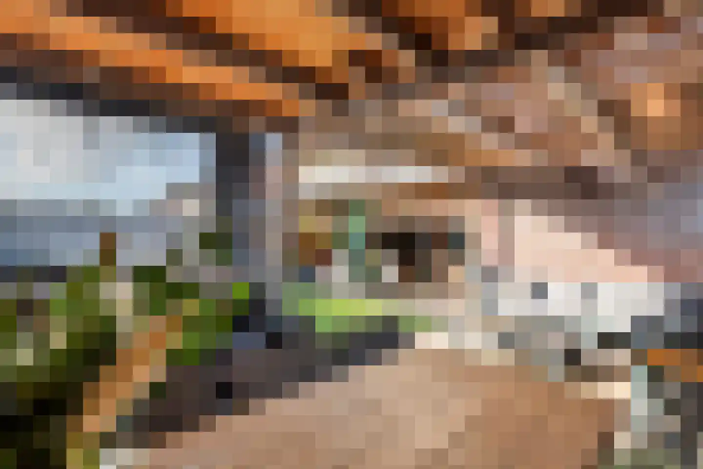 Ruisvoorn 18 Tiel thumbnail 44