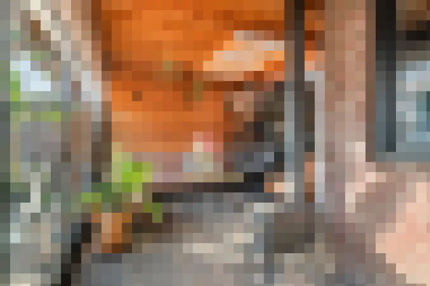 Ruisvoorn 18 Tiel thumbnail 48