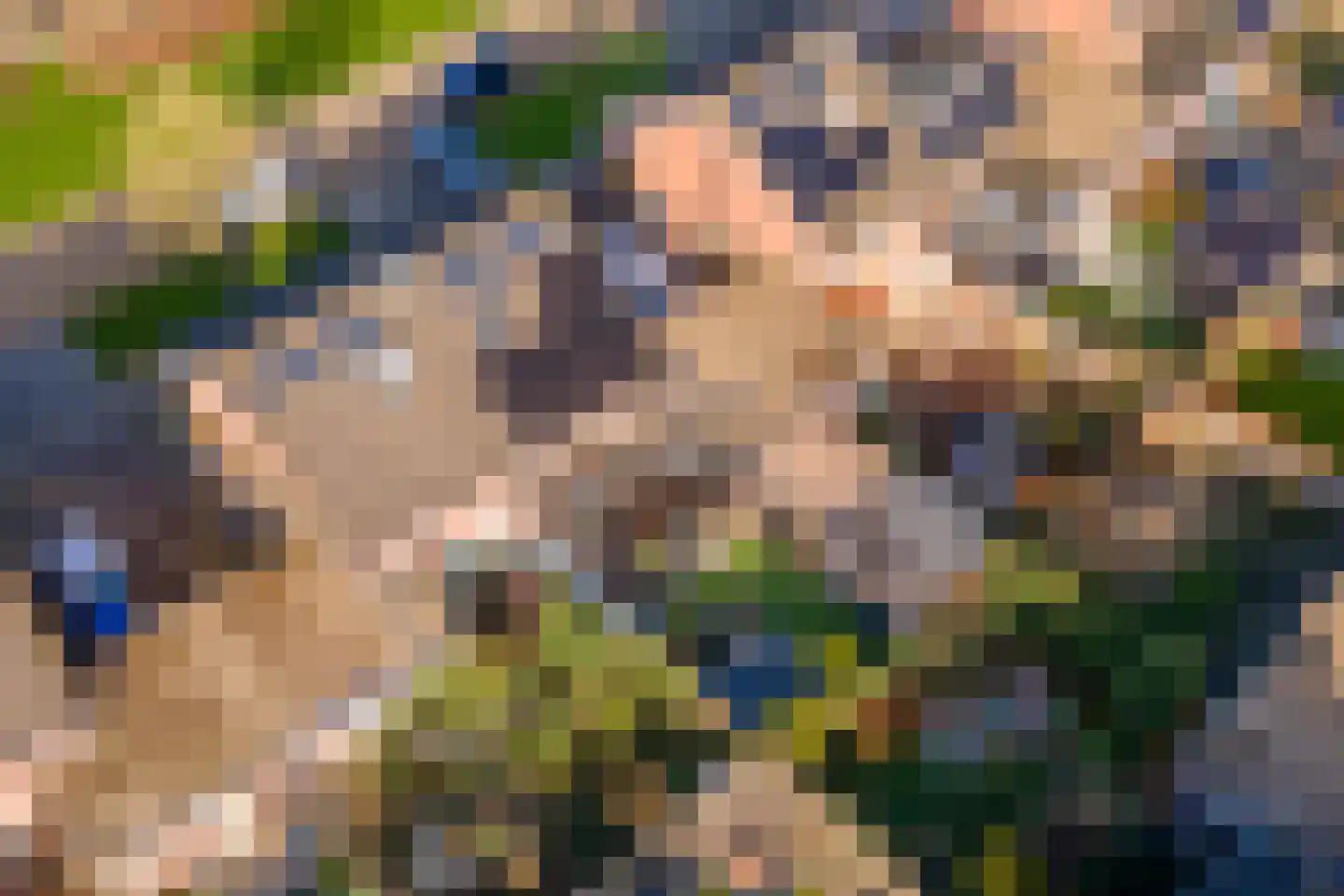 Ruisvoorn 18 Tiel thumbnail 59