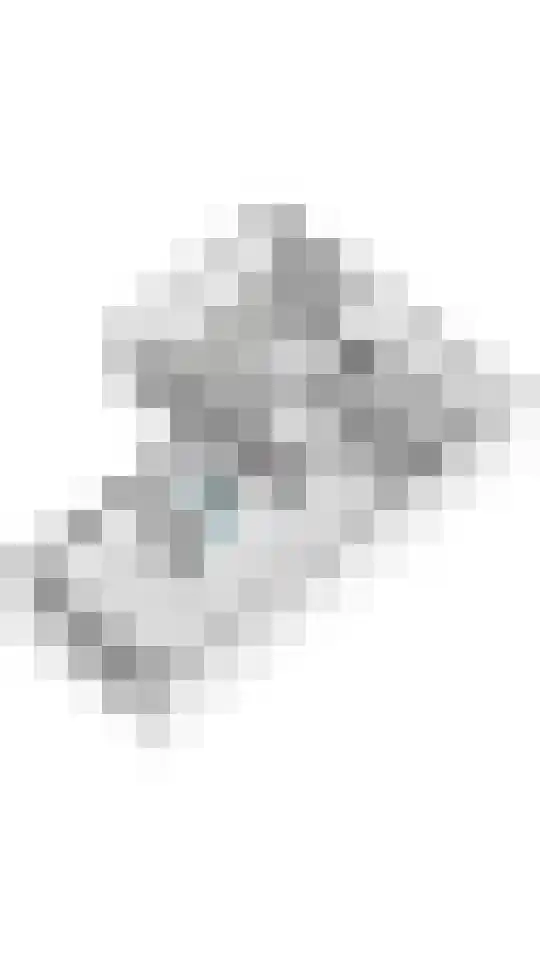 Ruisvoorn 18 Tiel thumbnail 62