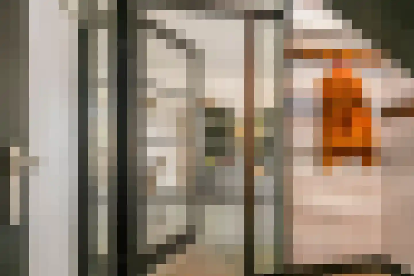 Ruisvoorn 18 Tiel thumbnail 8