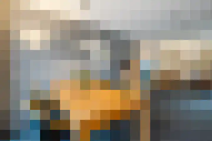 Ruisvoorn 42 Hoogeveen thumbnail 15