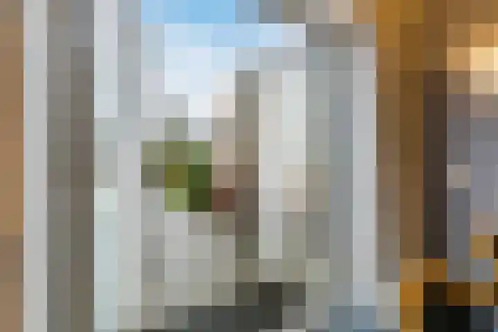 Ruisvoorn 42 Hoogeveen thumbnail 16