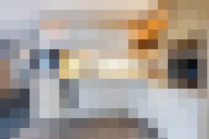 Ruisvoorn 42 Hoogeveen thumbnail 18