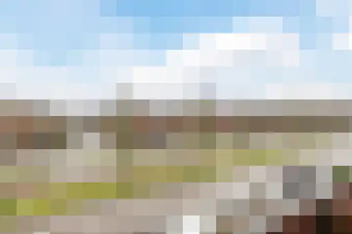 Ruisvoorn 42 Hoogeveen thumbnail 42