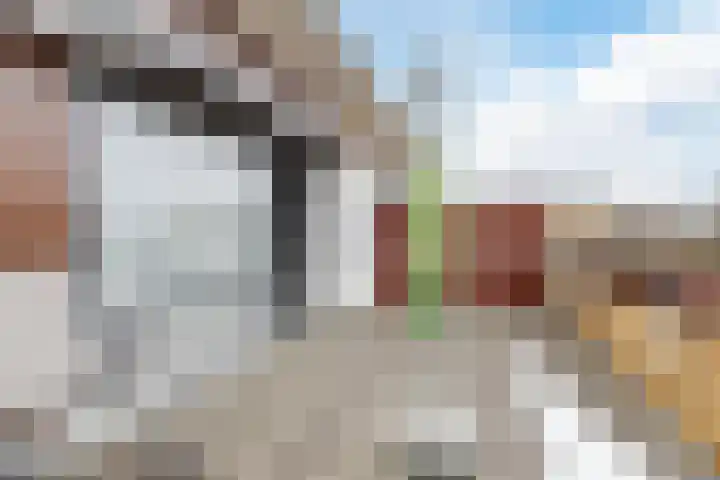 Ruisvoorn 42 Hoogeveen thumbnail 43