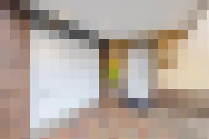 Ruisvoorn 42 Hoogeveen thumbnail 5