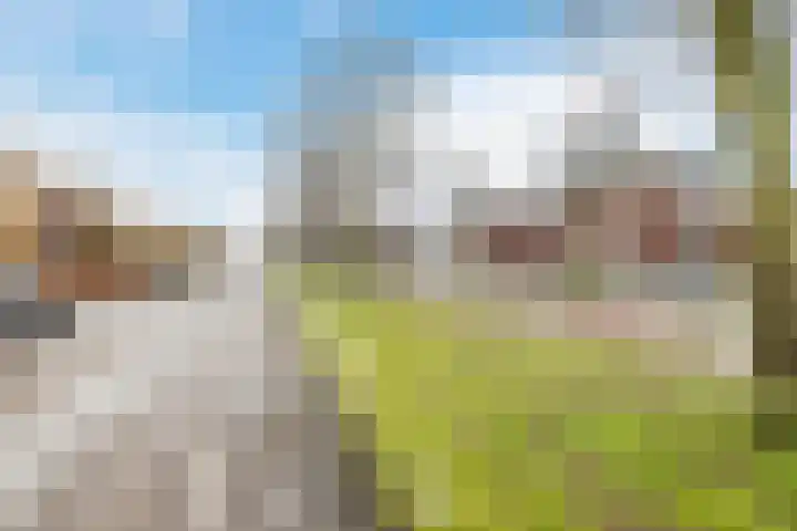 Ruisvoorn 42 Hoogeveen thumbnail 53