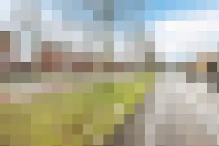Ruisvoorn 42 Hoogeveen thumbnail 54