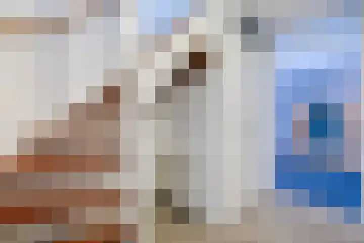 Ruisvoorn 42 Hoogeveen thumbnail 7