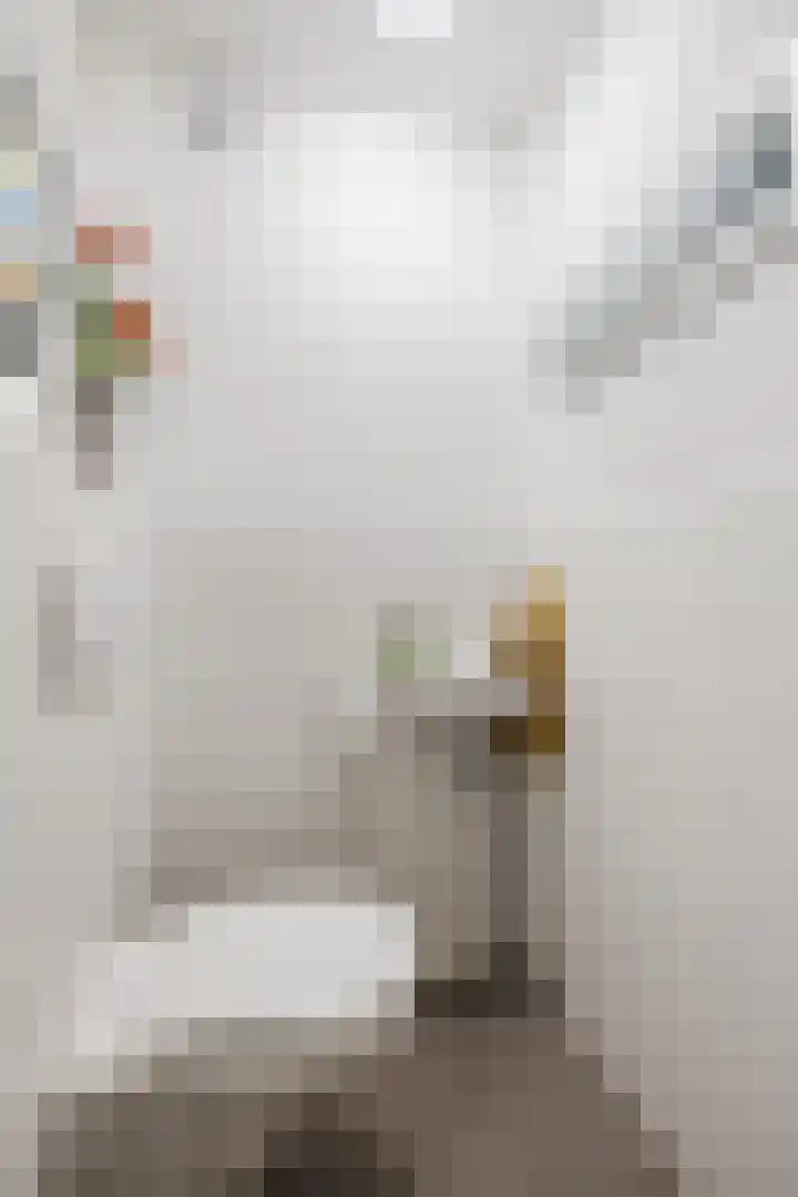 Ruisvoorn 42 Hoogeveen thumbnail 8
