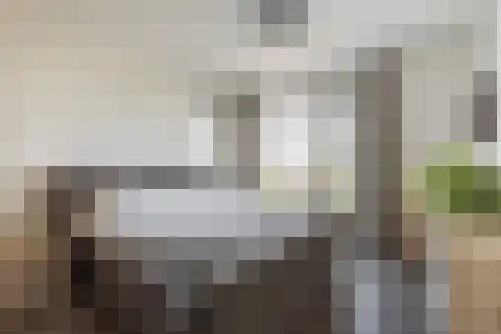 Ruisvoorn 6 Vlijmen thumbnail 18