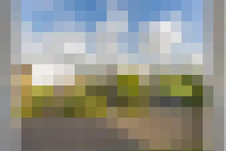 Ruisvoorn 6 Vlijmen thumbnail 19