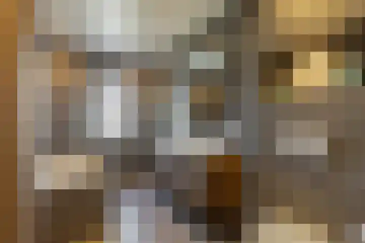 Ruisvoorn 6 Vlijmen thumbnail 21