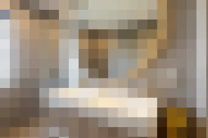 Ruisvoorn 6 Vlijmen thumbnail 22