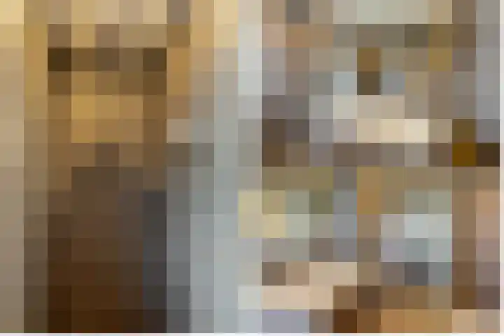 Ruisvoorn 6 Vlijmen thumbnail 24