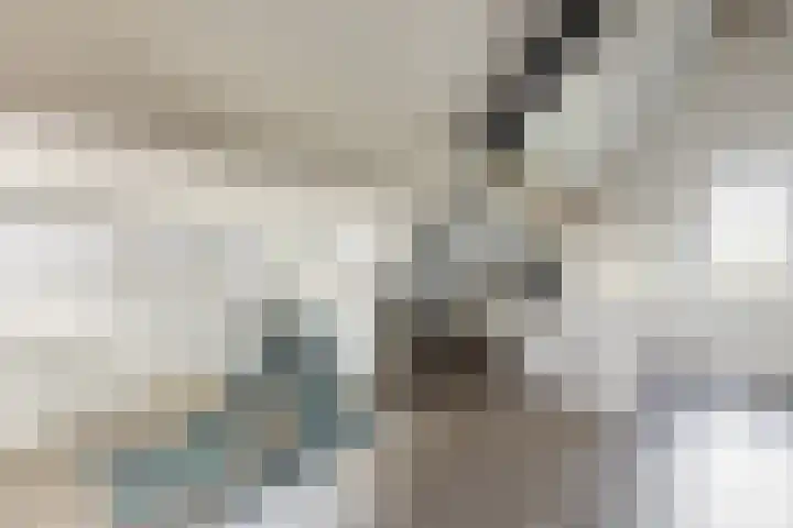 Ruisvoorn 6 Vlijmen thumbnail 30