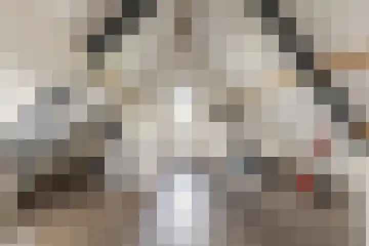 Ruisvoorn 6 Vlijmen thumbnail 31