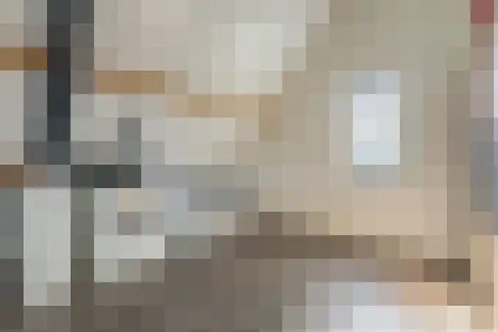 Ruisvoorn 6 Vlijmen thumbnail 32