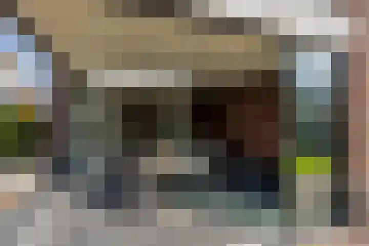 Ruisvoorn 6 Vlijmen thumbnail 35
