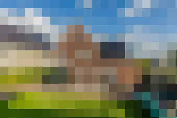 Ruisvoorn 6 Vlijmen thumbnail 36