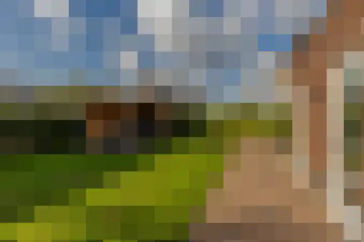 Ruisvoorn 6 Vlijmen thumbnail 37