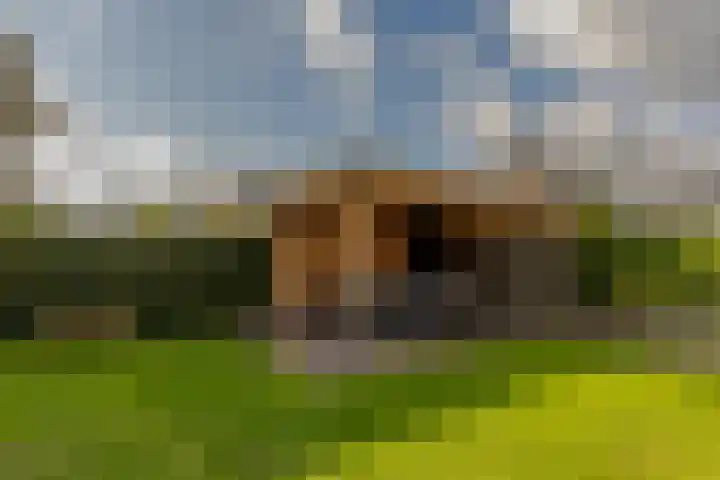 Ruisvoorn 6 Vlijmen thumbnail 38