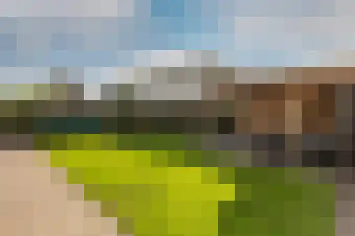 Ruisvoorn 6 Vlijmen thumbnail 40